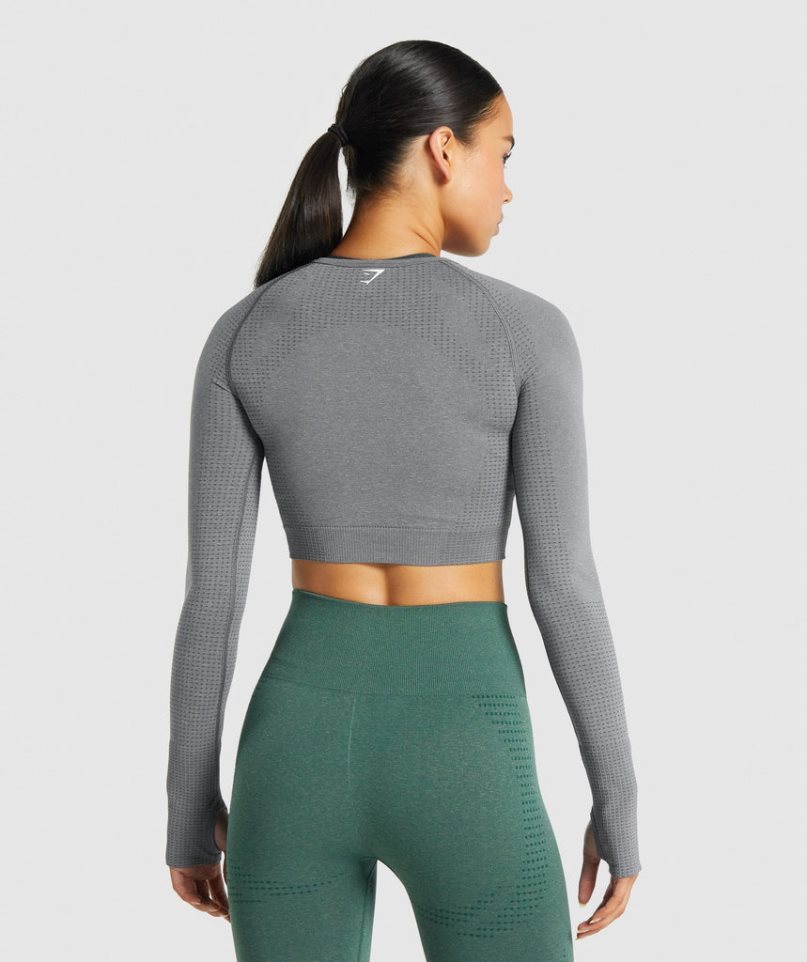 Women's Gymshark Vital Seamless 2.0 Long Sleeve Cropped Tops Grey | NZ 4AJYUI